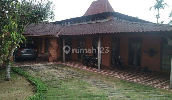 Rumah Joglo Ada Kolam Renang Cocok Jadi Hotel Restoran 7