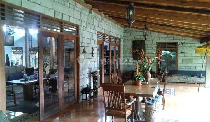 Rumah Joglo Ada Kolam Renang Cocok Jadi Hotel Restoran 11