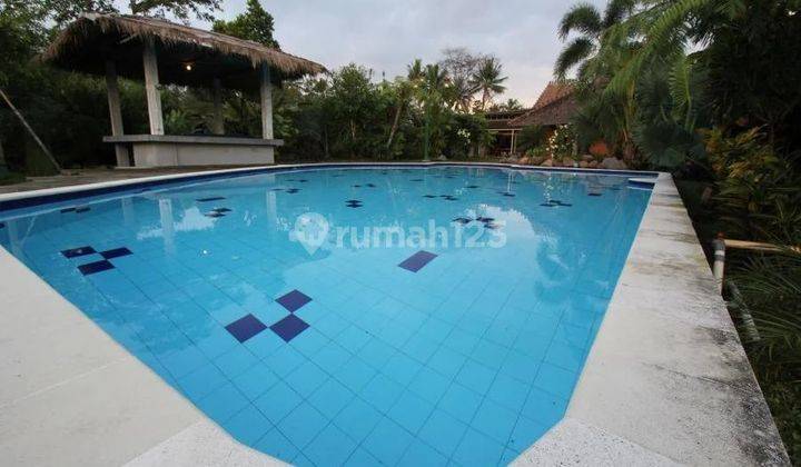 Rumah Joglo Ada Kolam Renang Cocok Jadi Hotel Restoran 12