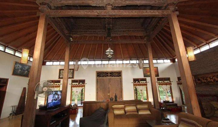 Rumah Joglo Ada Kolam Renang Cocok Jadi Hotel Restoran 18