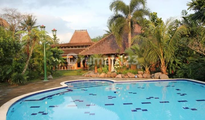 Jual Rumah Yogyakarta Dekat Wisata Merapi Ada Kolam Renang Jual Rumah Yogyakarta Dekat Wisata Merapi Ada Kolam Renang