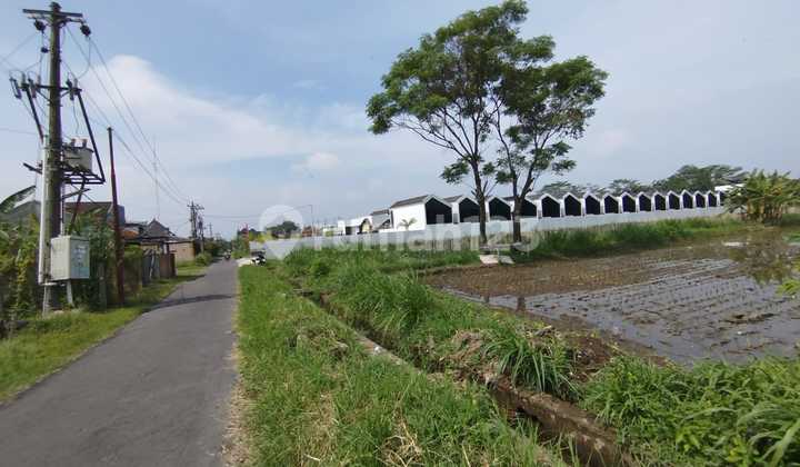 Land Suitable for HousingNear Sleman City Hall
