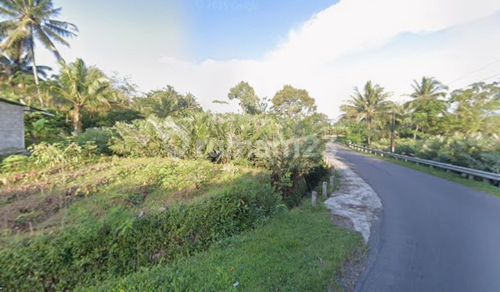 Tanah Pinggir Sungai Suasana Asri Pedesaaan Tanah Pinggir Sungai Suasana Asri Pedesaaan