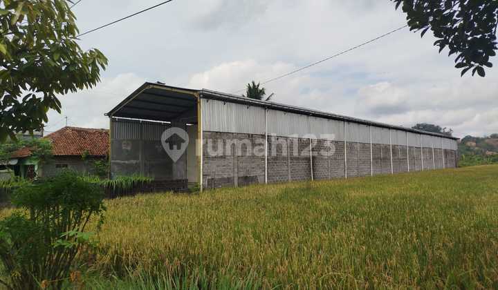 spacious warehouse roadside godean sleman spacious warehouse roadside godean sleman