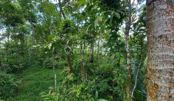dijual tanah view pegunungan cocok untuk villa hargotirto kokap kulon progo 2