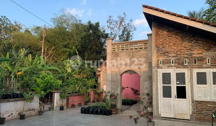 cheap large land with a serene location, suitable for residence in moyudan