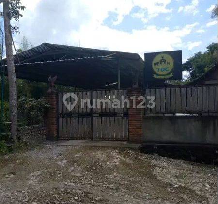 Dijual Tanah Cocok Untuk Peternakan Playen Gunung Kidul 2