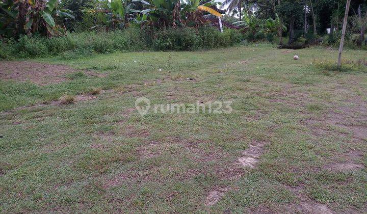 Dijual Tanah Harga Rendah Lokasi Sentolo Kulonprogo 2