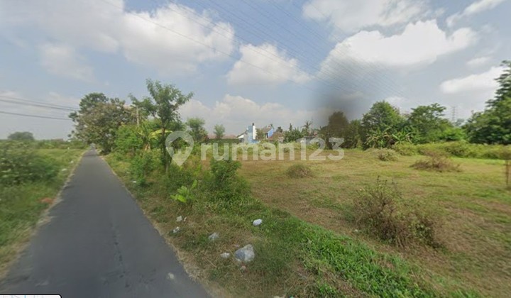 Tanah Murah Dekat Ringroad Barat Cocok untuk Perumahan Trihanggo Tanah Murah Dekat Ringroad Barat Cocok untuk Perumahan Trihanggo