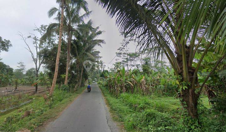 dijual tanah cocok untuk tempat tinggal margorejo tempel sleman 1