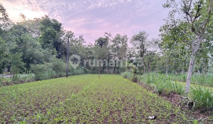 tanah murah semanu gunung kidul tanah murah semanu gunung kidul