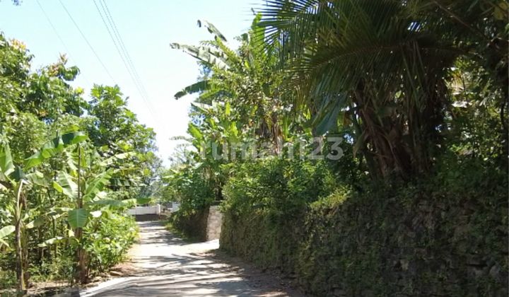 Tanah Murah Cocok untuk Pensiun Sedayu Bantul Tanah Murah Cocok untuk Pensiun Sedayu Bantul