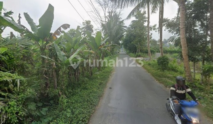 Tanah Cocok untuk Villa Lokasi Masih Asri Dingin Tanah Cocok untuk Villa Lokasi Masih Asri Dingin