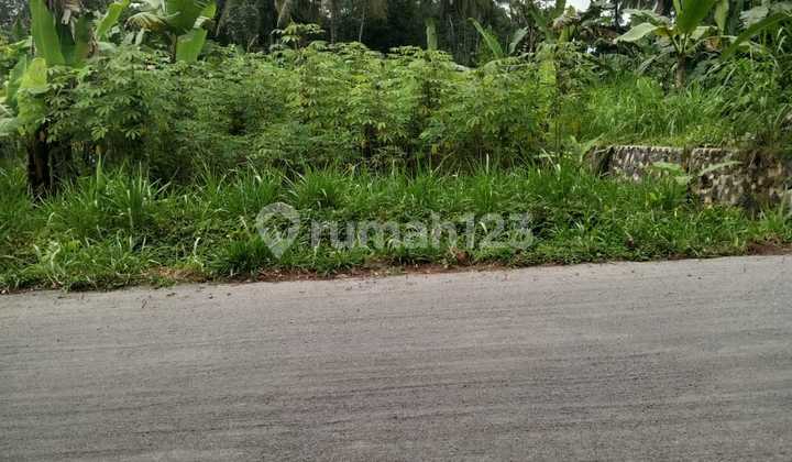 Tanah Cocok Untukrumah Tinggal Suasanari Tanah Cocok Untukrumah Tinggal Suasanari