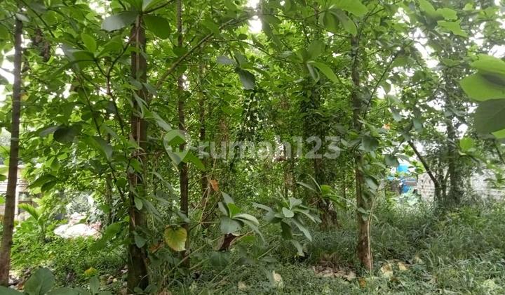 (Tn074) Dijual Tanah Cocok Peruntukan Rumah di Cibinong, Bogor