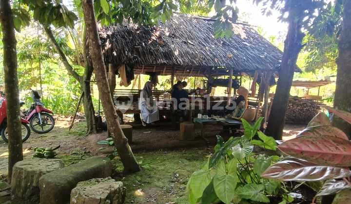 (TN055) For sale: Land with 1 villa unit in Jasinga, Bogor.