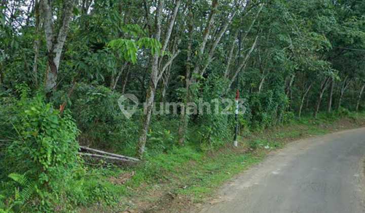 (TN055) For sale: Land with 1 villa unit in Jasinga, Bogor.