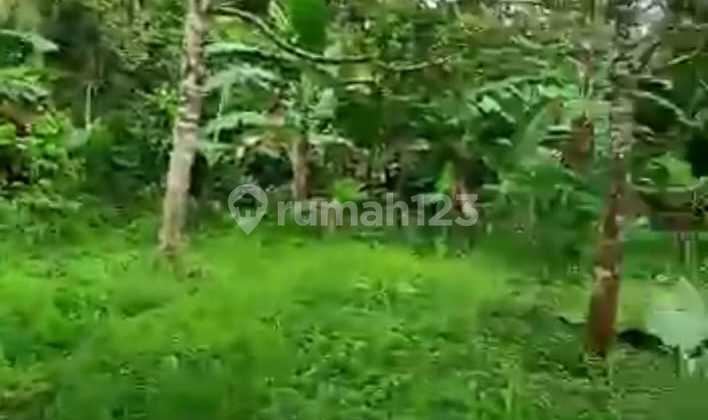 (TN063) Quick Sale! Strategic 4.5 Ha Land in Cijeruk, Bogor