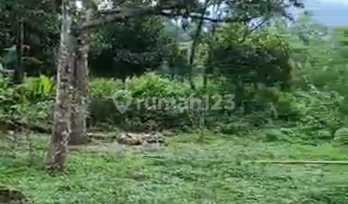 (TN063) Quick Sale! Strategic 4.5 Ha Land in Cijeruk, Bogor
