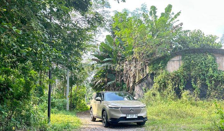 Tanah Lahan Sawah Dekat Jalan Raya Turi Tempel Sleman 2