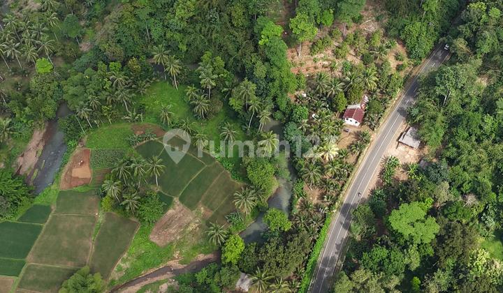 PLOT IN PANDEGLANG GREAT LOCATION SUITABLE FOR TOURISM