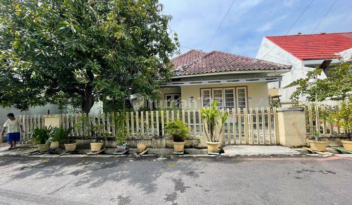 DIJUAL RUMAH TUA HARGA DIBAWAH NJOP DI SEMARANG, JAWA TENGAH 1