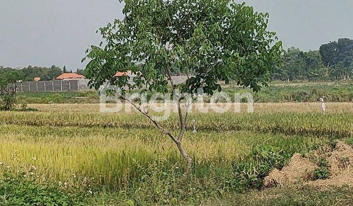 Lahan ds Betro,kec Kemlagi-Mojokerto 2