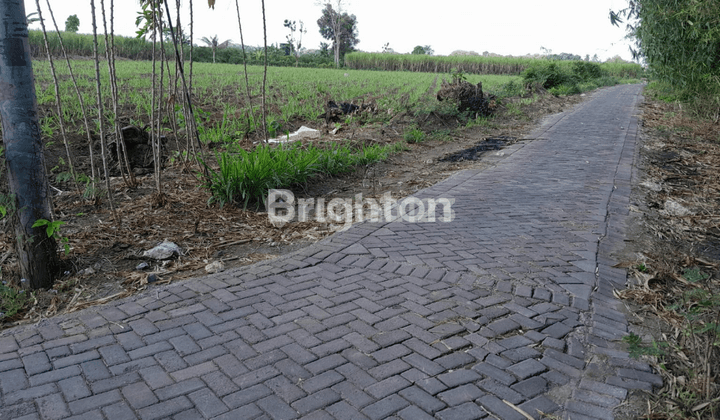 Tanah Pertanian Siap Pakai Ds Sidomekar-Jember 1