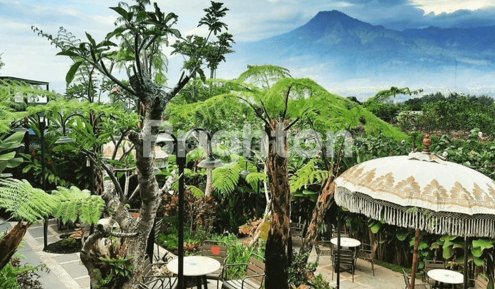 Cafe Aktif View 360° Gunung, Batu 2