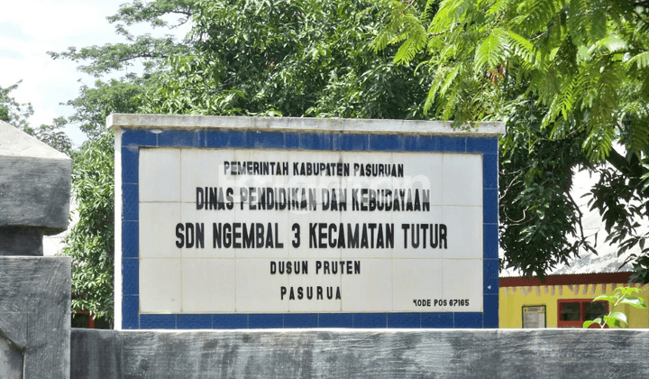 Lahan Bagus Nongkojajar, Kec Tutur-Pasuruan 2