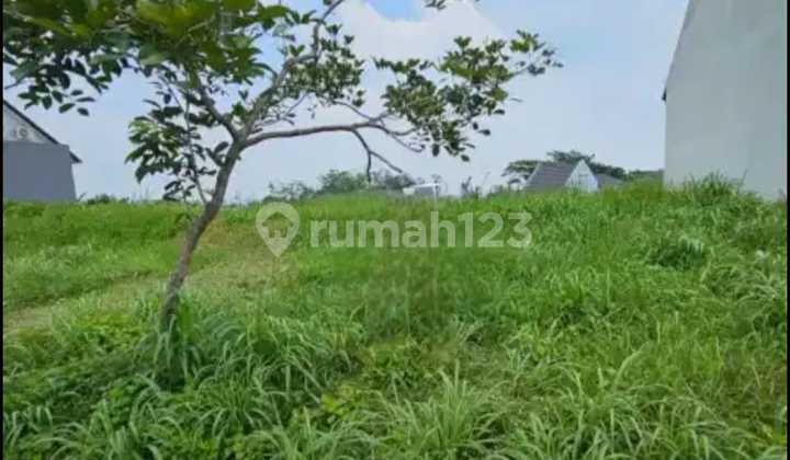 Affordable Land Plots for Sale in The Taman Dayu-Prigen Affordable Land Plots for Sale in The Taman Dayu-Prigen