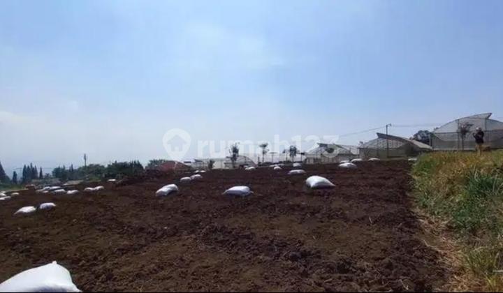 Tanah Strategis Dekat Klub Bunga, Klub Agro, Abdul Gani-Batu