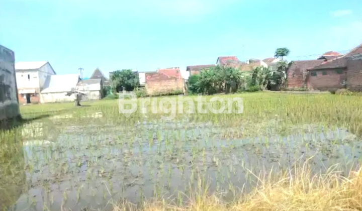Tanah Strategis Tombro Selatan, Tanjungsekar-Malang Tanah Strategis Tombro Selatan, Tanjungsekar-Malang