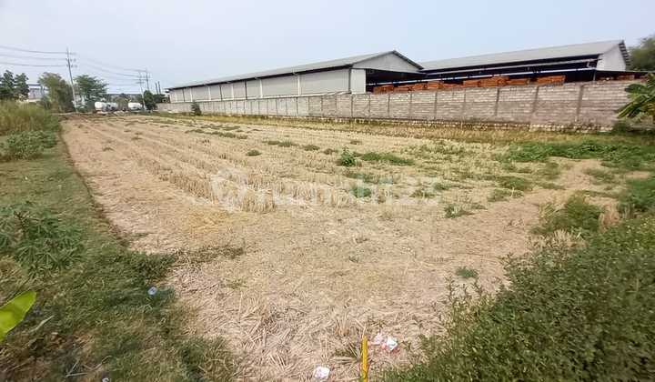 Dijual Tanah Strategis & berada di kawasan Industry-Ngoro