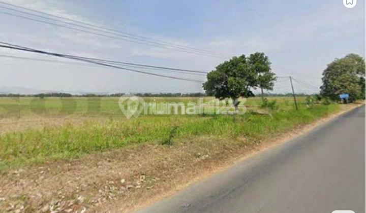 Tanah Ngantong, Siap Pakai & Strategis Dekat Tol & bandara udara kertajati, Kec Ligung, Majalengka-Jawa Barat 2