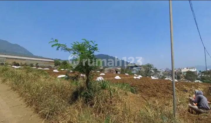 Tanah Strategis Dekat Klub Bunga, Klub Agro, Abdul Gani-Batu