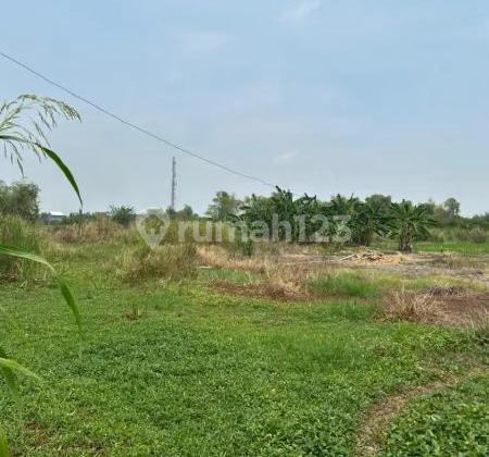 Cheap Sale of Strategic Land, Morowudi, Cerme-Gresik