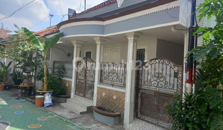 Dijual Murah Rumah Pusat Kota Surabaya, Maspati-Surabaya Dijual Murah Rumah Pusat Kota Surabaya, Maspati-Surabaya