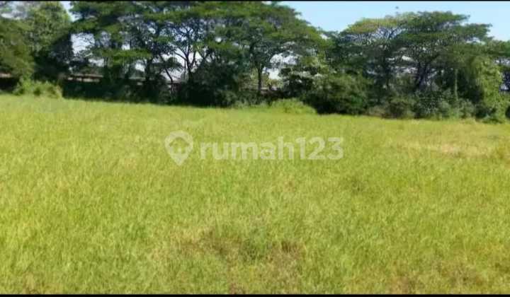 Tanah Nol Jalan Arteri Tanggulangin-Sidoarjo Tanah Nol Jalan Arteri Tanggulangin-Sidoarjo