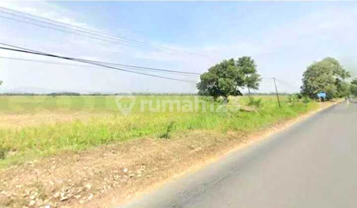 Tanah Ngantong, Siap Pakai & Strategis Dekat Tol & bandara udara kertajati, Kec Ligung, Majalengka-Jawa Barat 1
