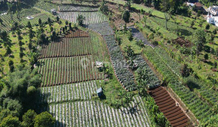 Tanah Murah Shm Pas Untuk Villa Dan Berkebun 2