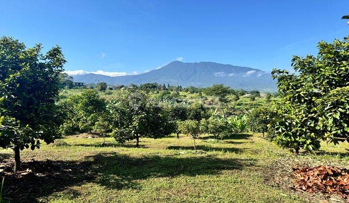 Tanah Murah Shm Pas Untuk Villa Dan Berkebun 1