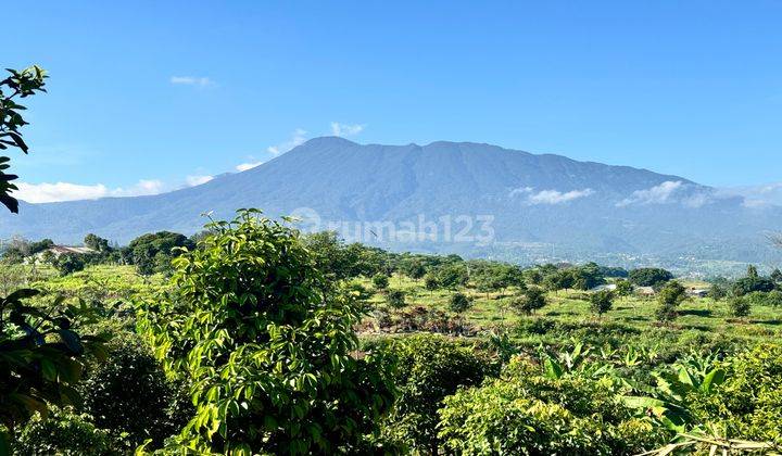 Tanah Murah Puncak View Gunung Pangrango 1