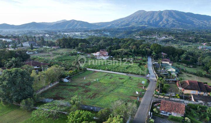 Tanah Best View Pinggir Jalan Terusan Tamansafari Puncak 2