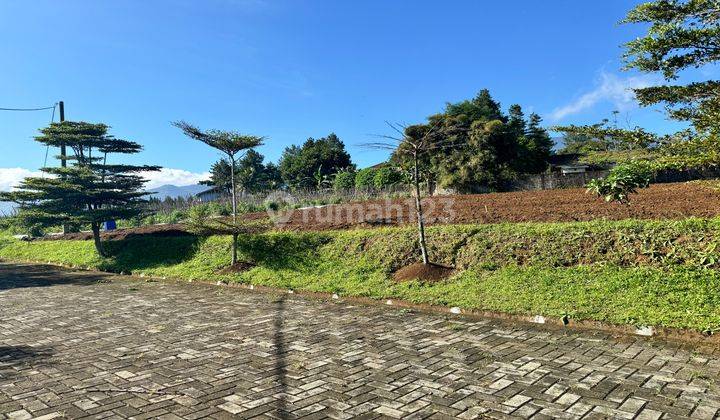 Tanah View Citylight Puncak Bogor Cocok Untuk Villa 2