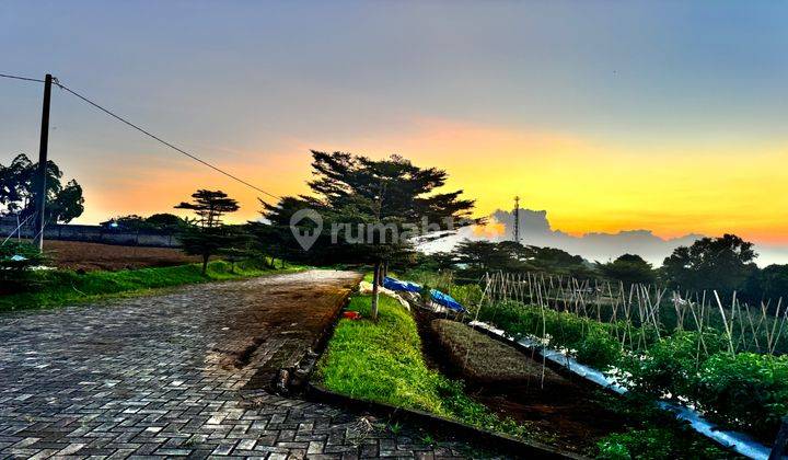 Tanah Puncak Shm View Paling Top Cocok Untuk Villa 1