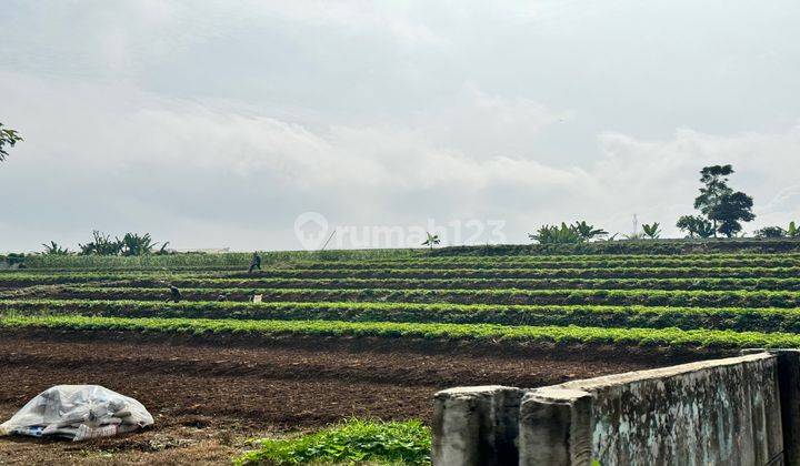 Tanah Siap Bangun Pinggir Jalan Terusan Puncak 1