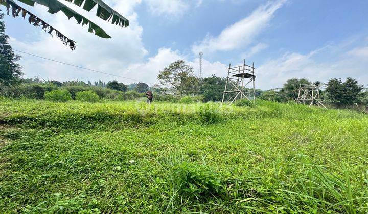 Tanah Shm Pinggir Jalan Eigerland Puncak Bogor 2