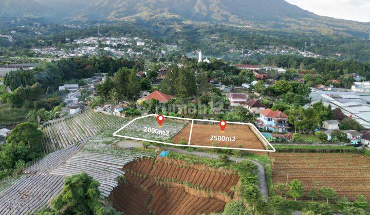 Tanah Shm View Puncak Dan Citylight Bogor