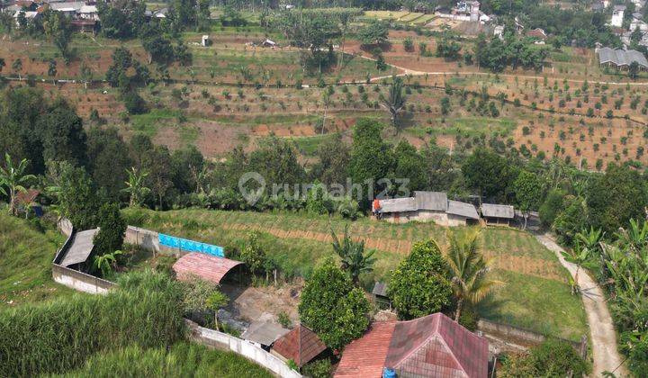 Villa Murah Luas Tanah 2050m2 Puncak Bogor SHM  1